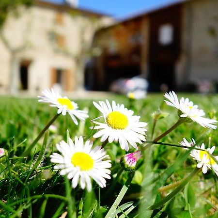 La Ferme Des Denis Chambres Dhotes Chanos-Curson Εξωτερικό φωτογραφία
