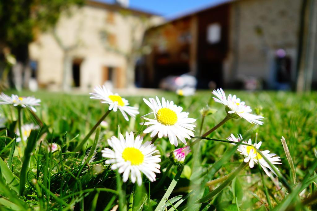 La Ferme Des Denis Chambres Dhotes Chanos-Curson Εξωτερικό φωτογραφία